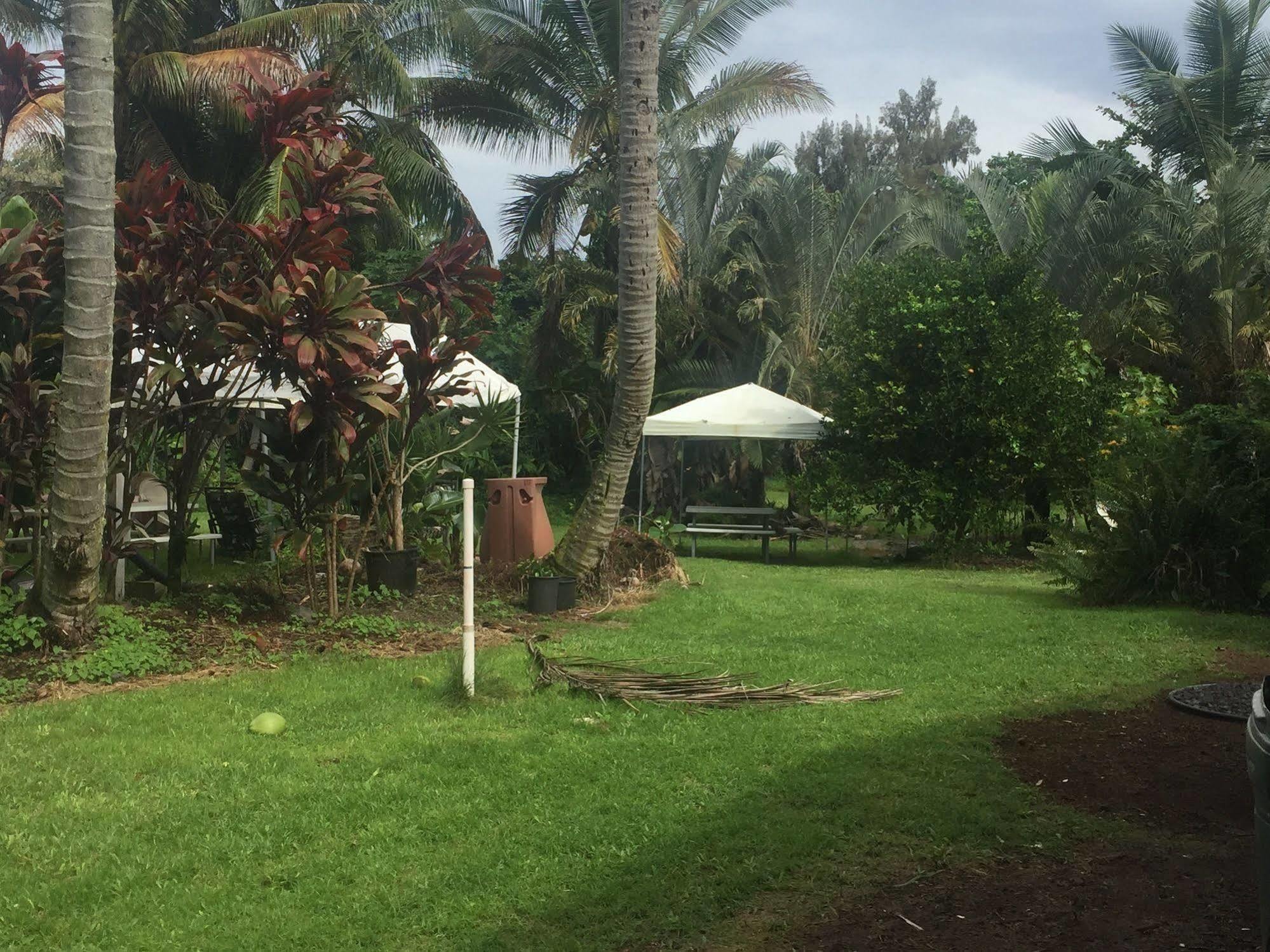 亚伦小屋 希洛 外观 照片
